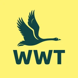 Ikon WWT Washington